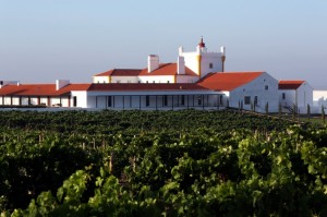 TORRE DE PALMA WINE HOTEL